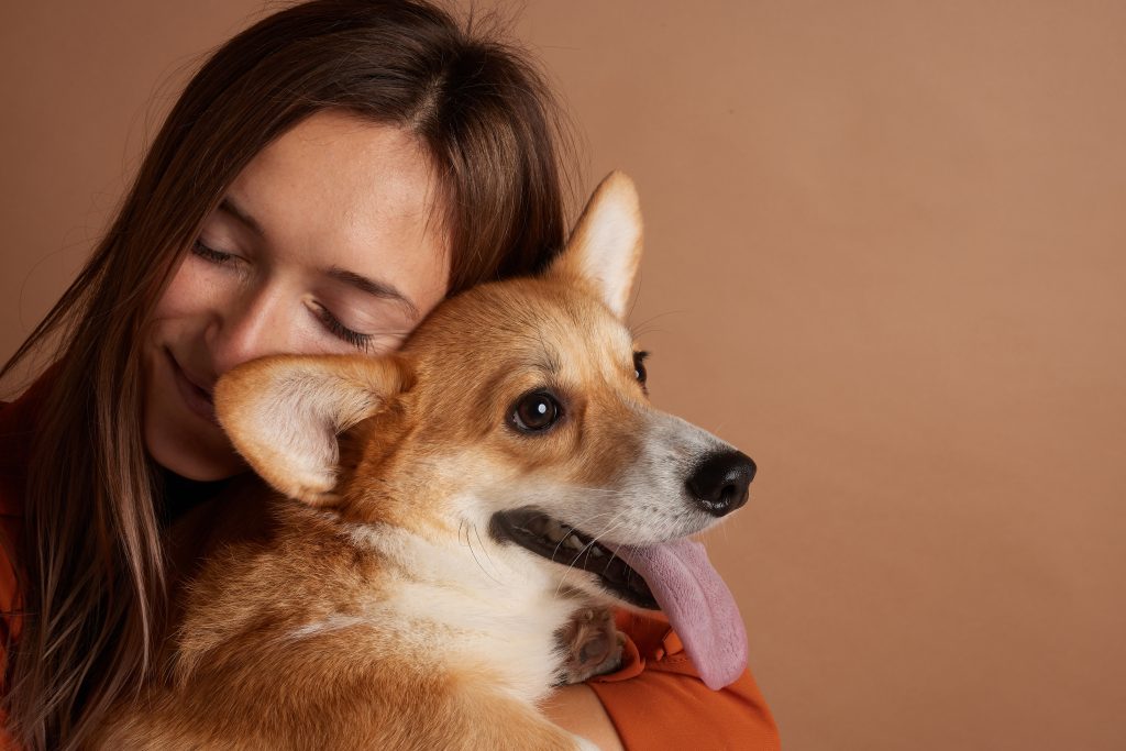 Cachorros em apartamentos: como garantir bem-estar e convivência em harmonia