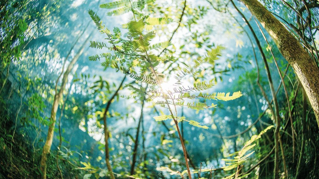 Jardim Guarujá: conheça 5 motivos para viver neste bairro de Sorocaba!