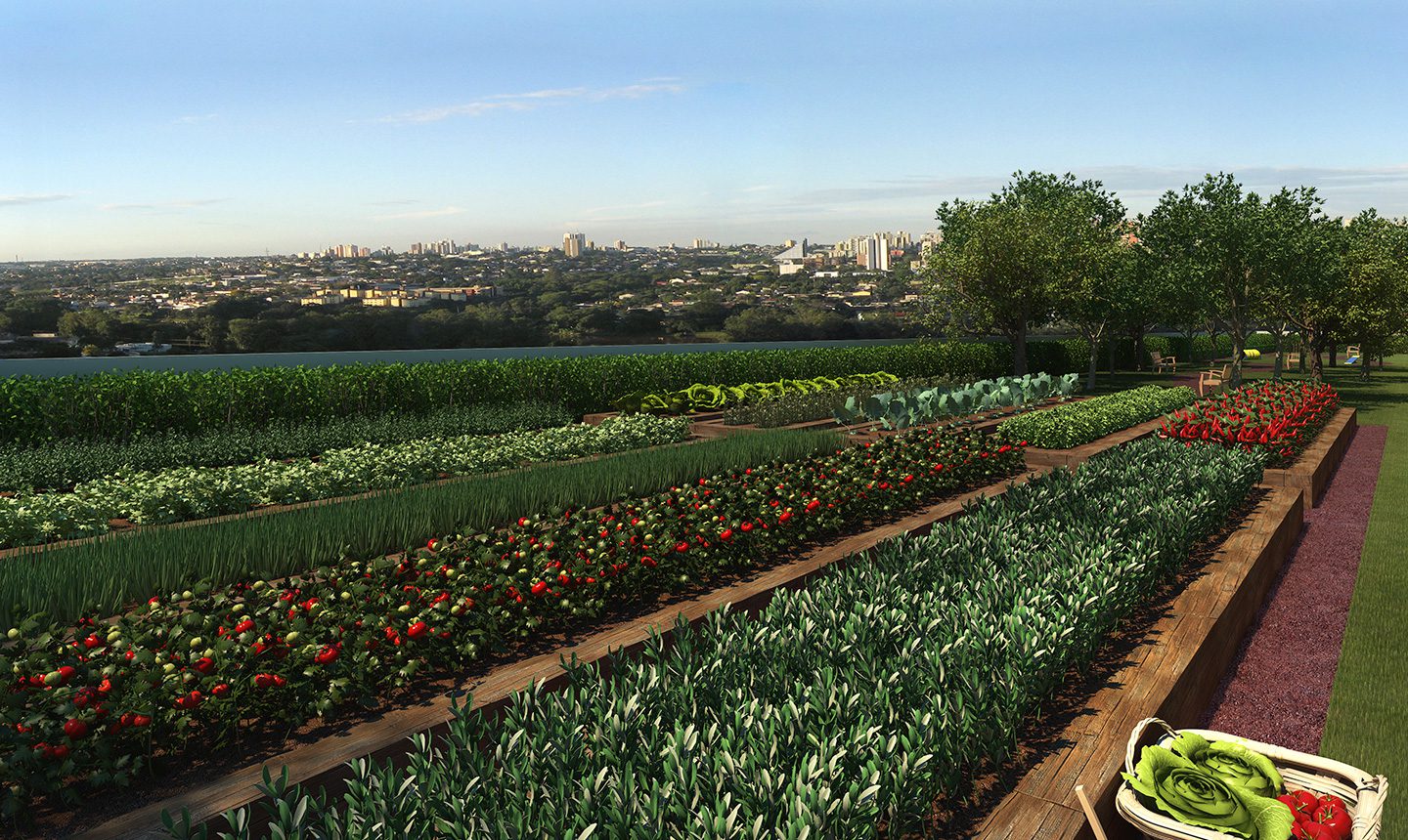 Pomar e hora orgânica