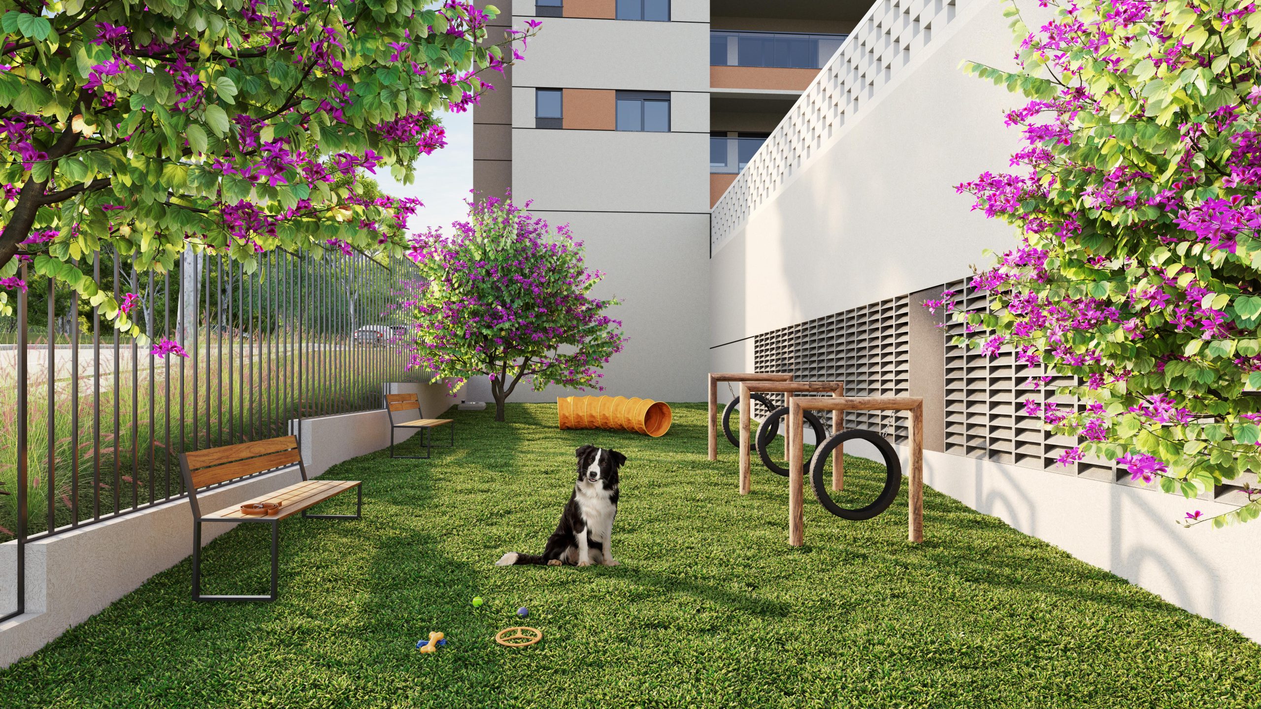 Qual a diferença entre pet place e pet garden?